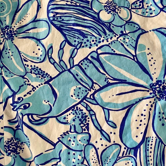 Lilly Pulitzer Jubilee Cali Shift dress - Picture 3 of 6